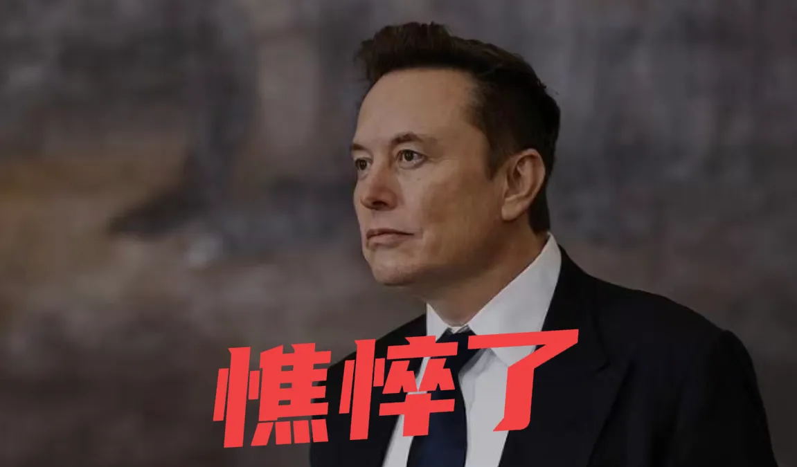 包含马斯克再次发推，SHIB瞬间上上扬478%的词条
