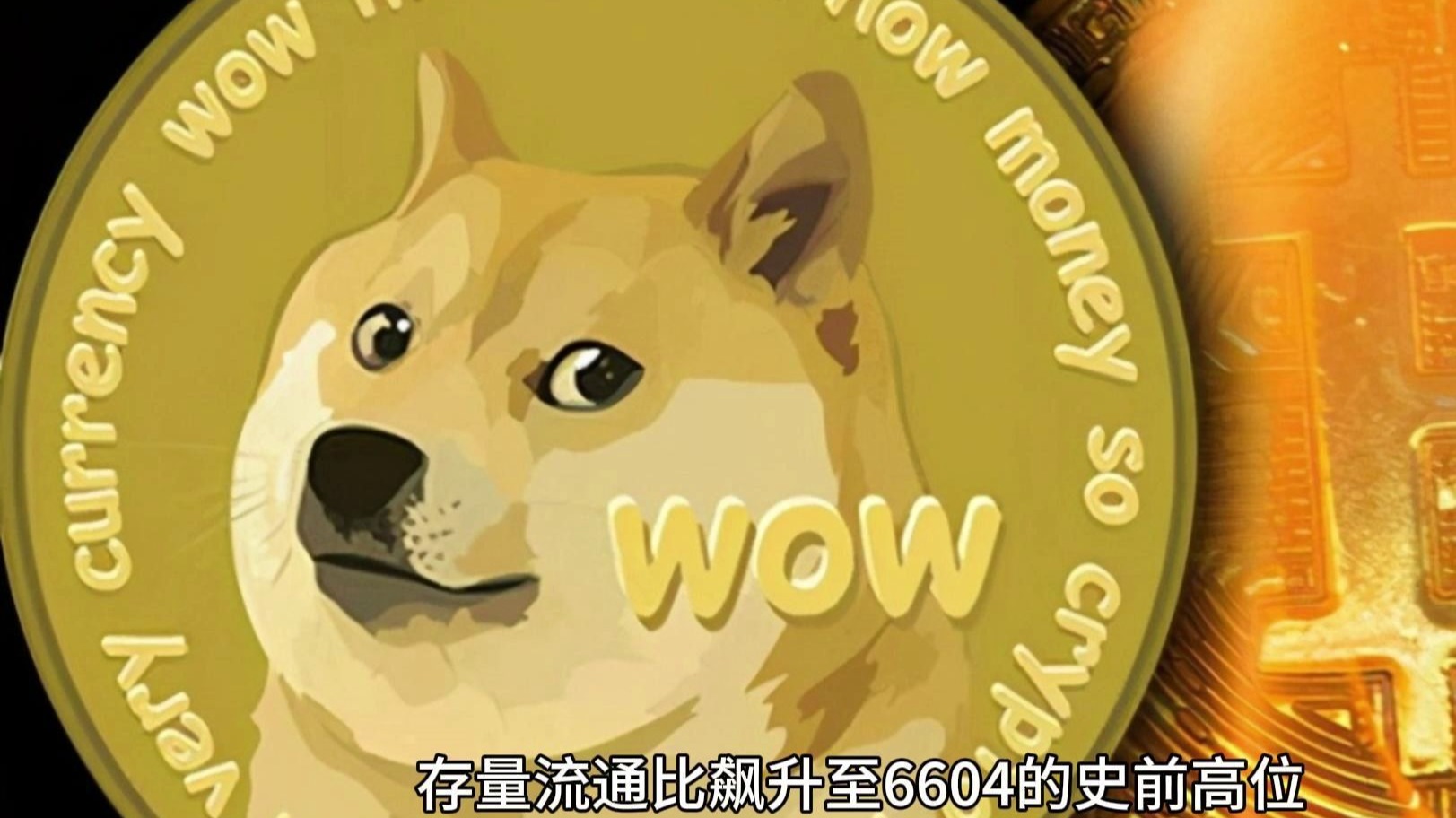 监管风暴来袭，狗狗币平台被临时暂停！的简单介绍-APP下载